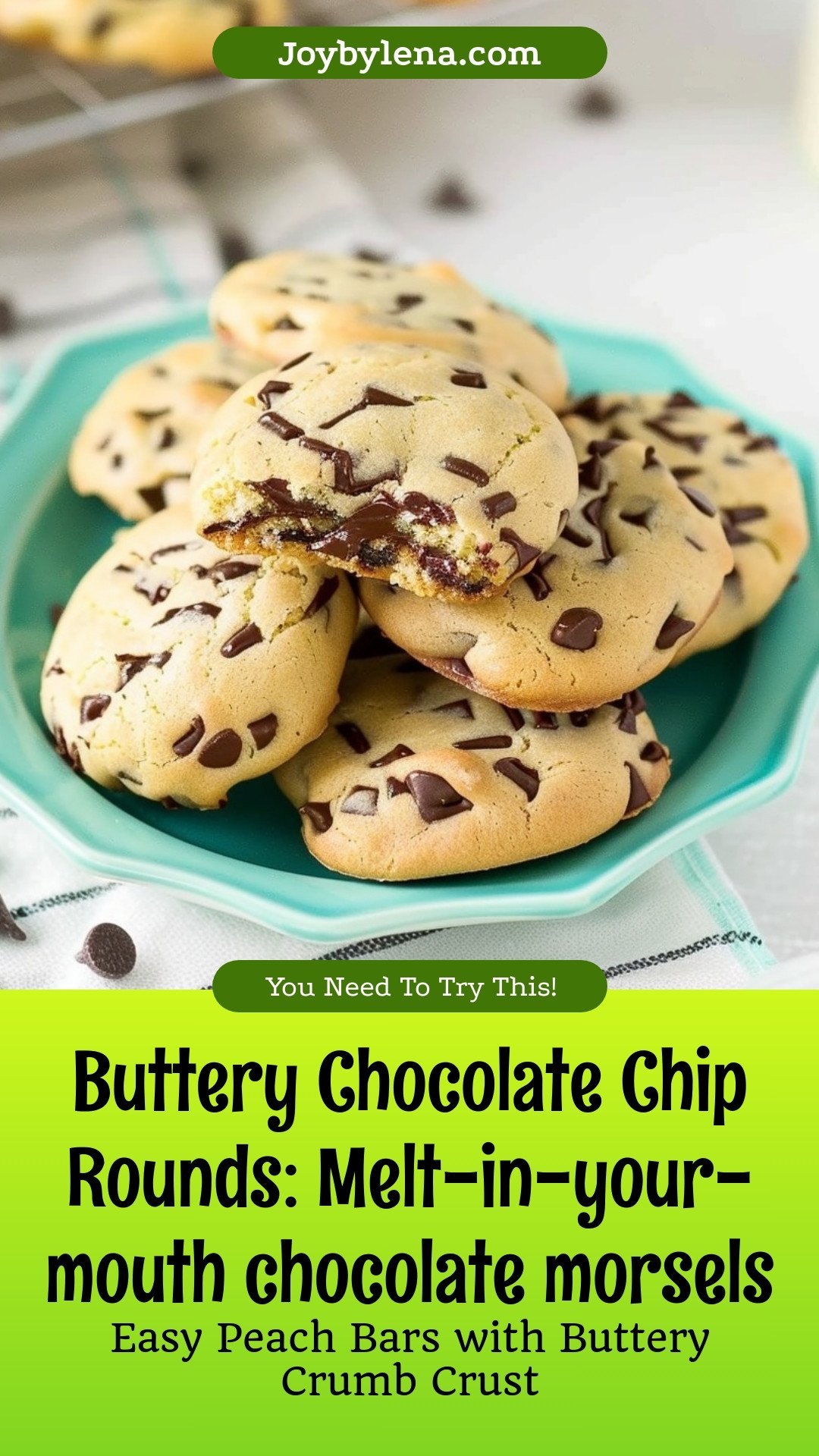 Buttery Chocolate Chip Rounds: Melt-in-your-mouth chocolate morsels