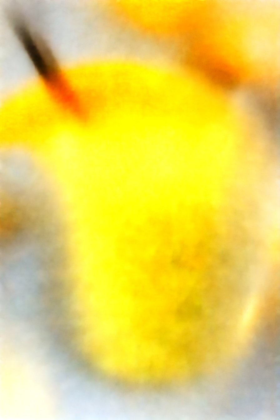 Citrus Creamy Delight: Zesty Cloud of Bliss