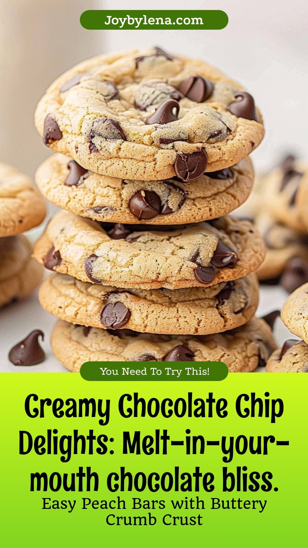 Creamy Chocolate Chip Delights: Melt-in-your-mouth chocolate bliss.