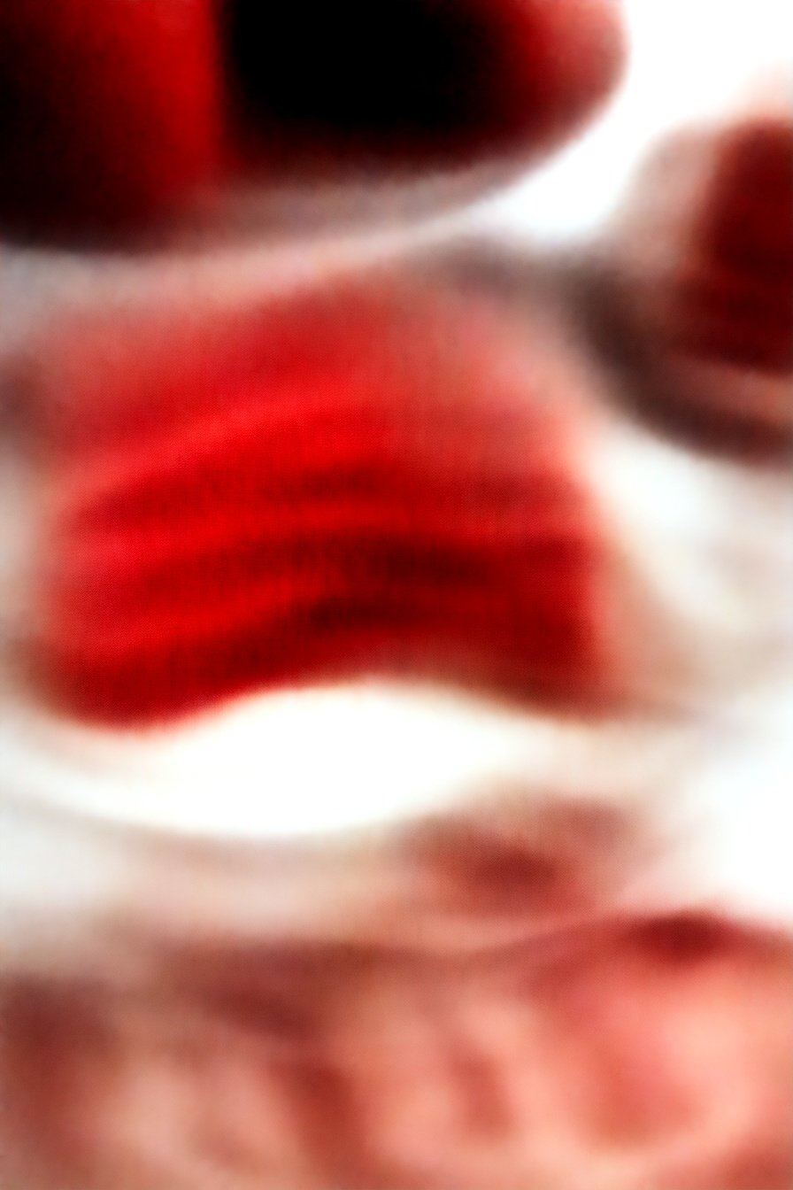 Decadent Chocolate Layered Dessert: Rich, velvety chocolate perfection