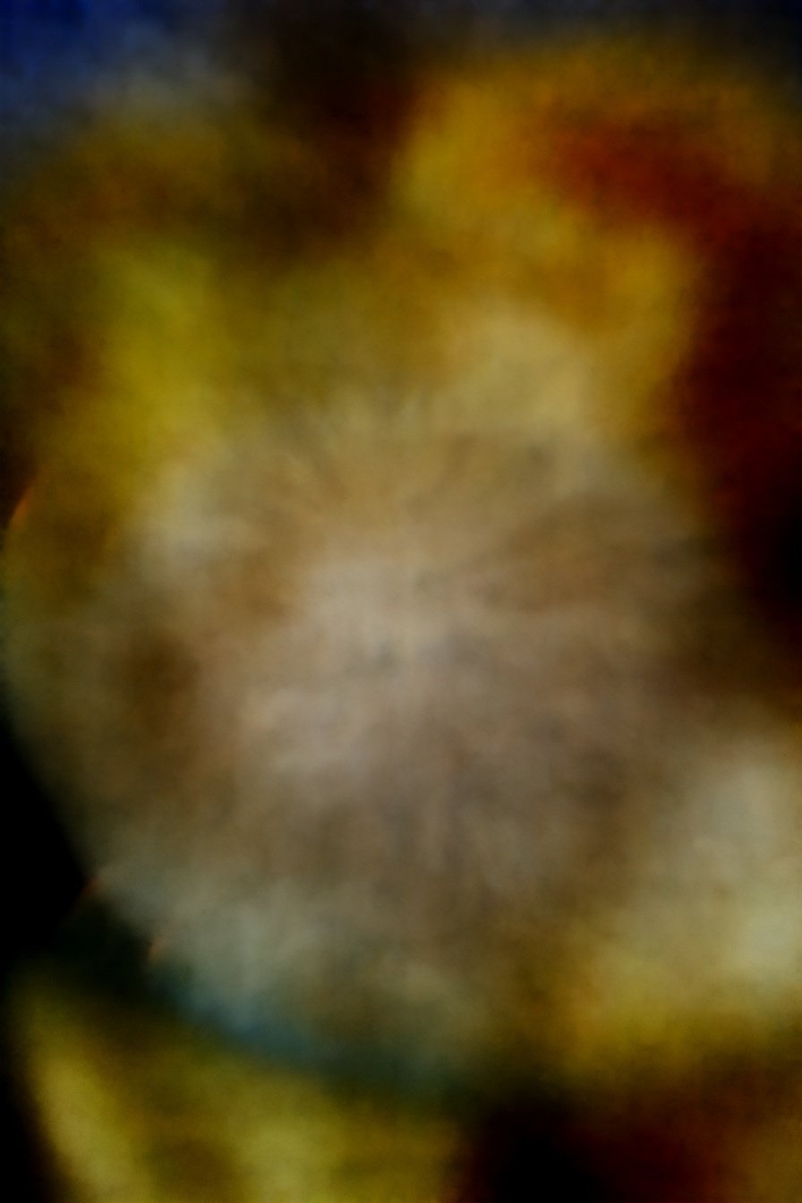 Dizzying Onion Delight: Layers of savory bliss.