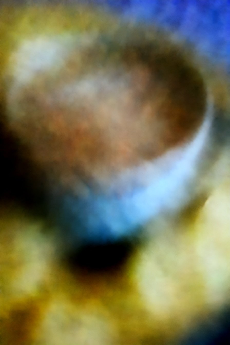 Dizzying Onion Delight: Layers of savory bliss.