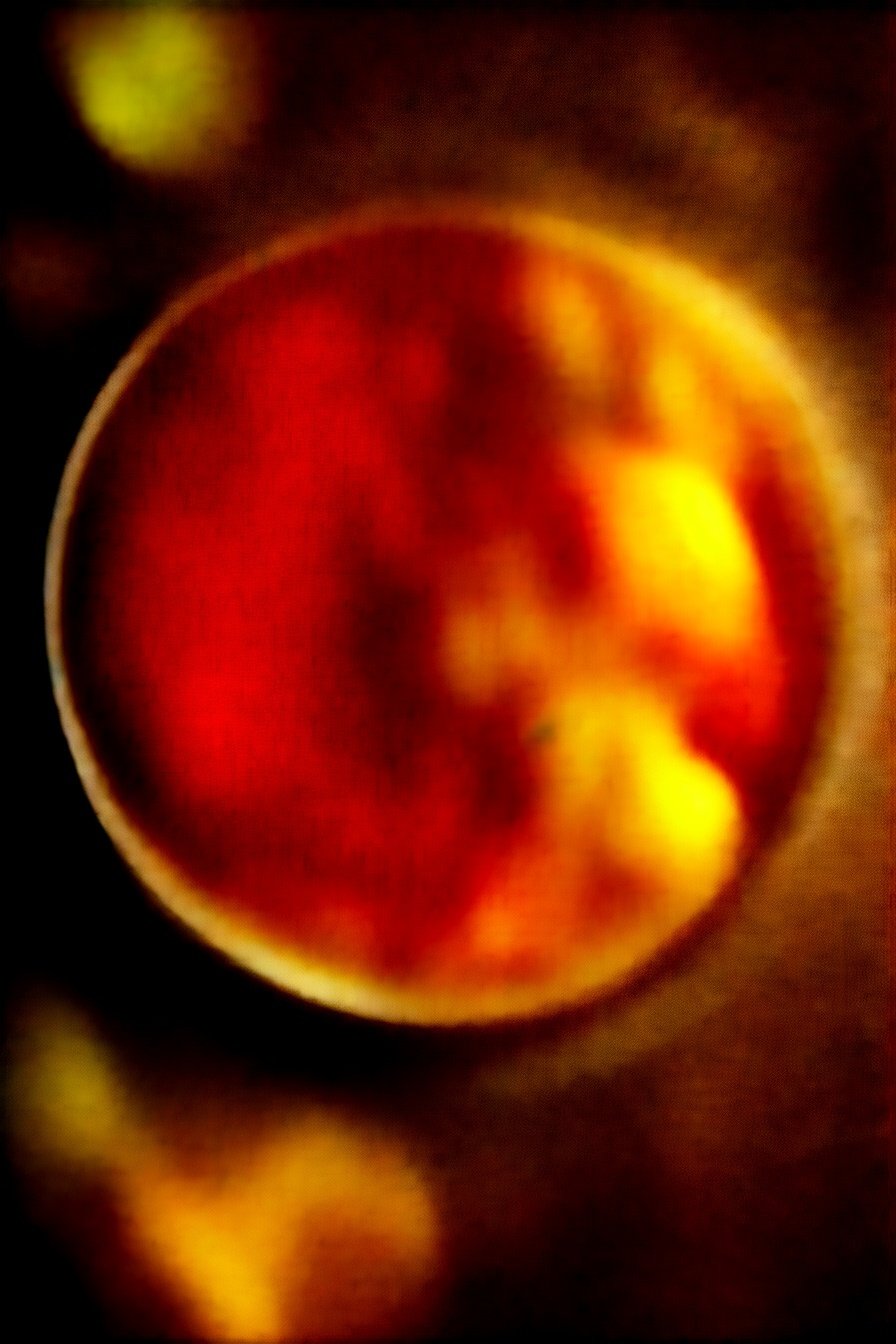 Easy St. Patrick's Dinner: Savory Herb-Infused Feasts