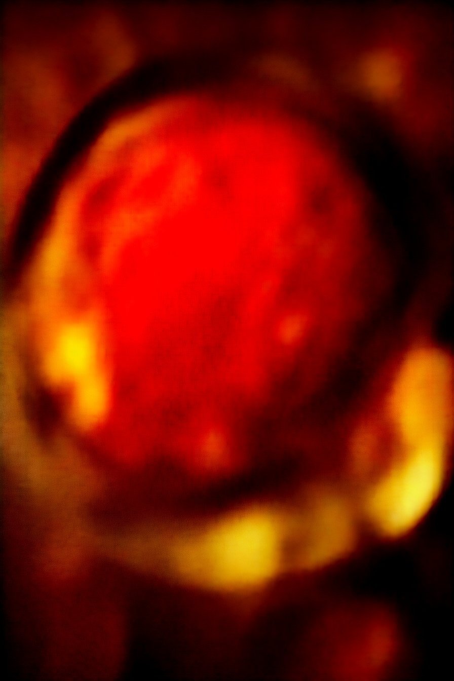 Easy St. Patrick's Dinner: Savory Herb-Infused Feasts