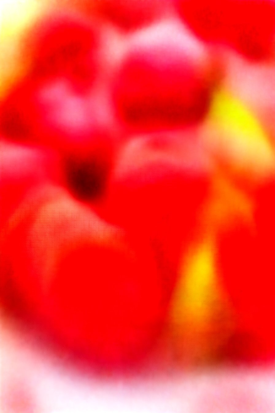 Frozen Berry Booze Bites: Tipsy berry bliss bites.