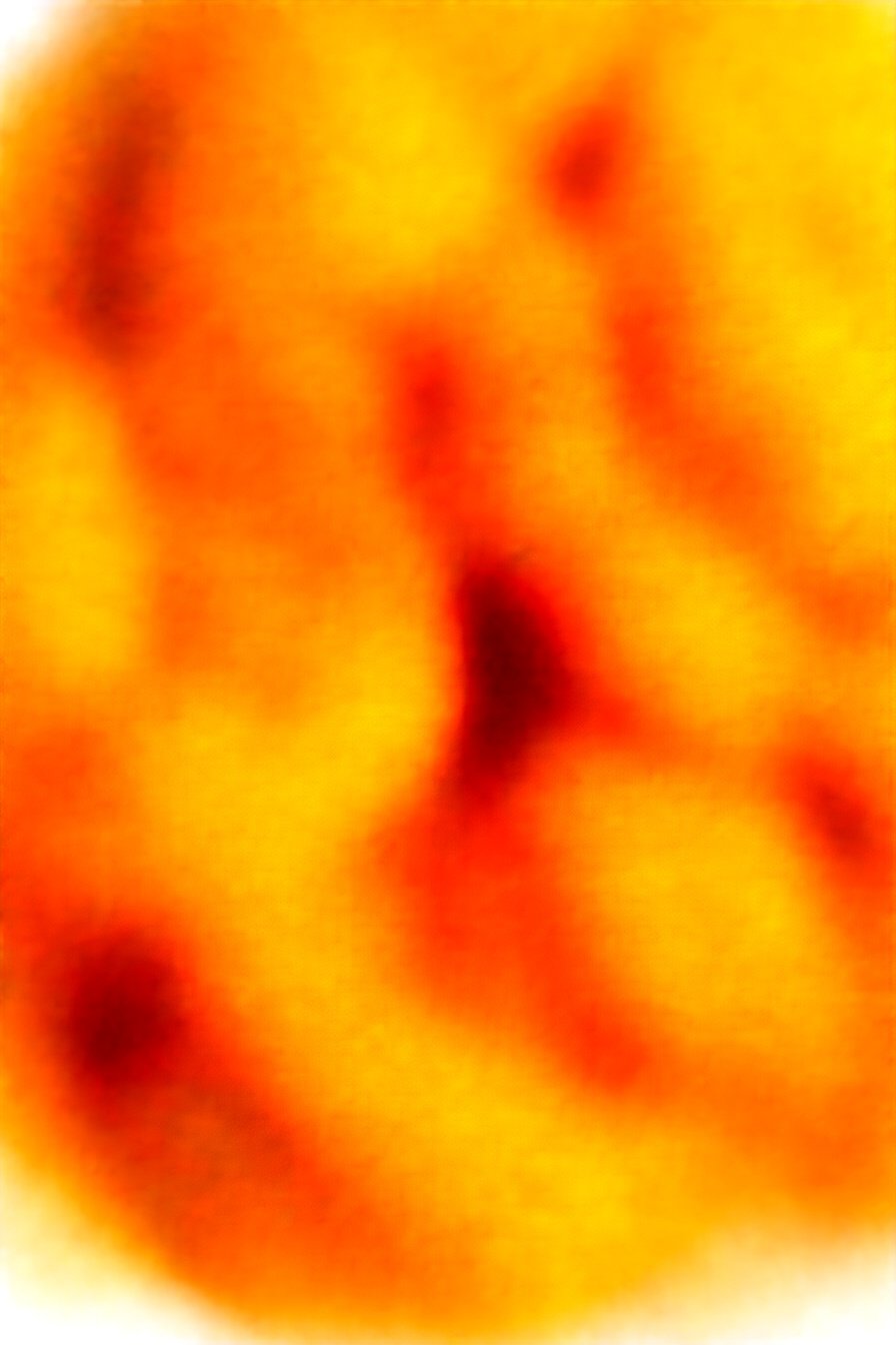 Garlic Crescent Twists: Buttery, garlicky, flaky perfection.