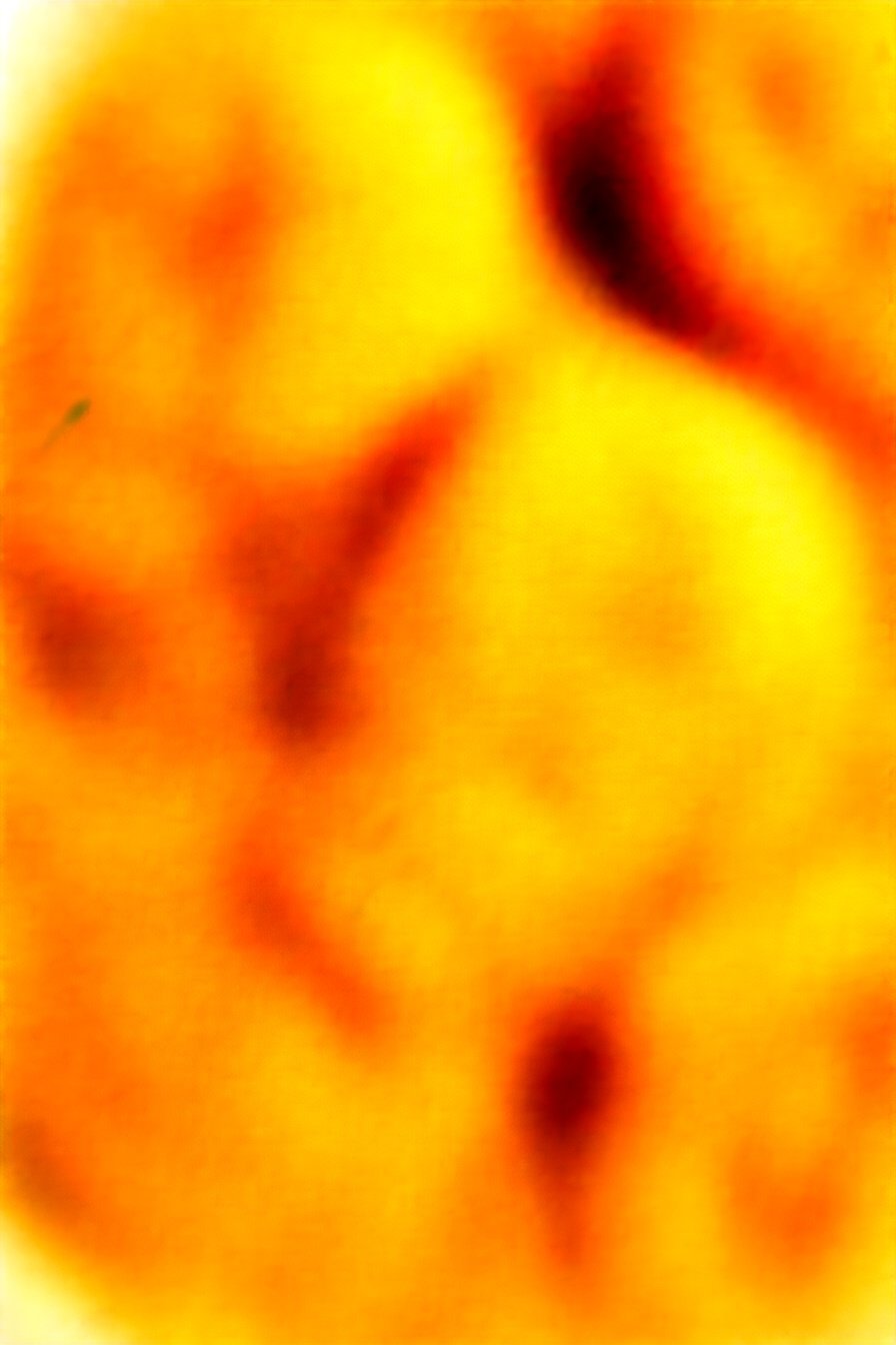 Garlic Crescent Twists: Buttery, garlicky, flaky perfection.