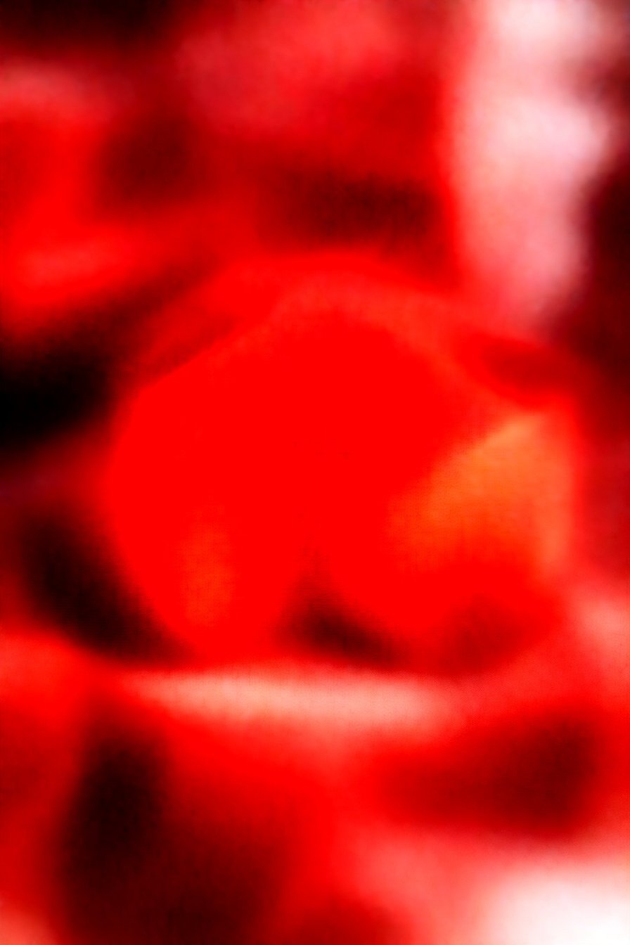 Irish Cream Chocolate Squares: Decadent Irish cream bliss.