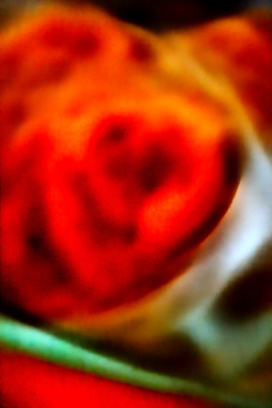 Onion Ring Beef Casserole: Savory, cheesy, beefy perfection.