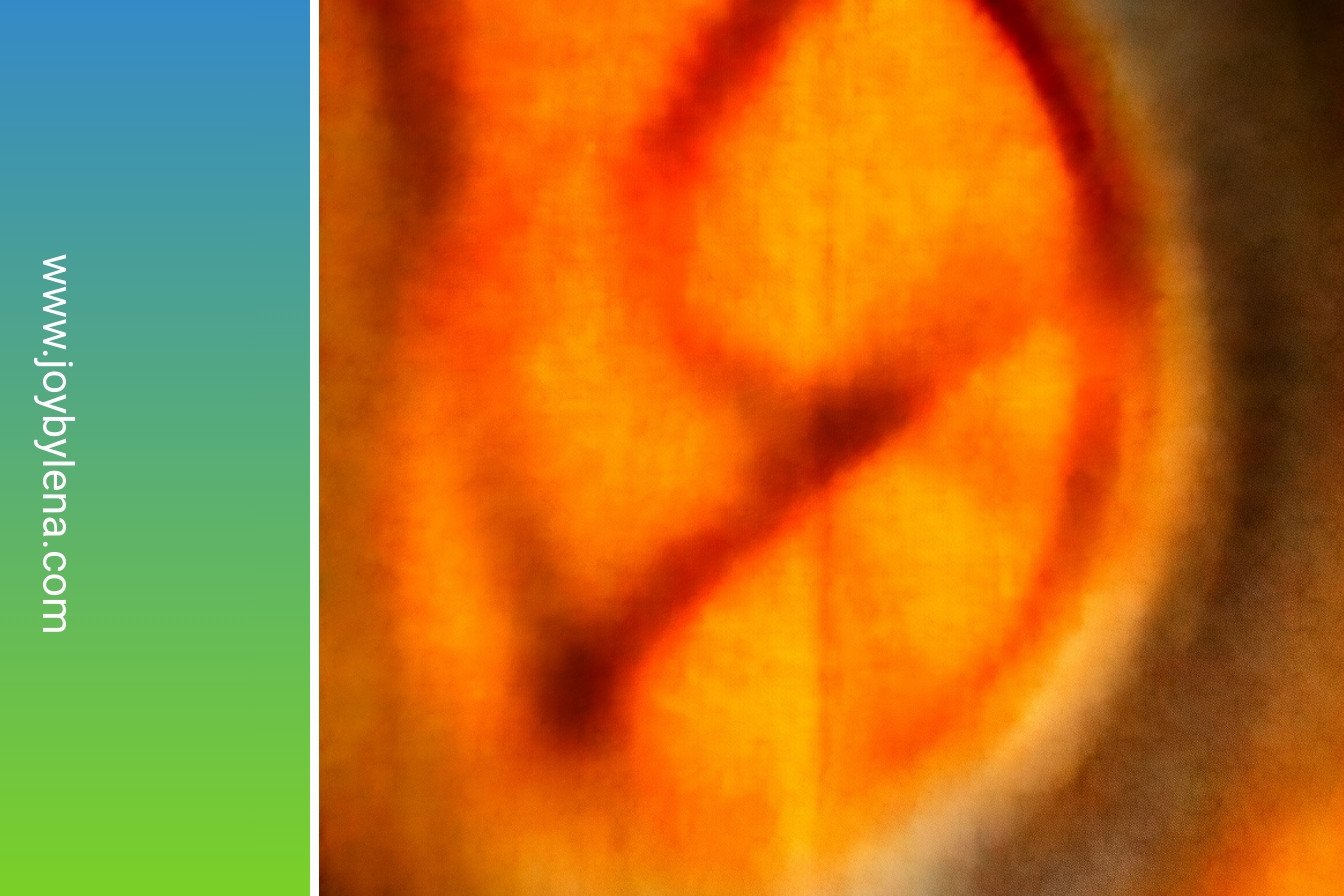 Peanut Butter Chess Slice: Creamy peanut butter perfection: