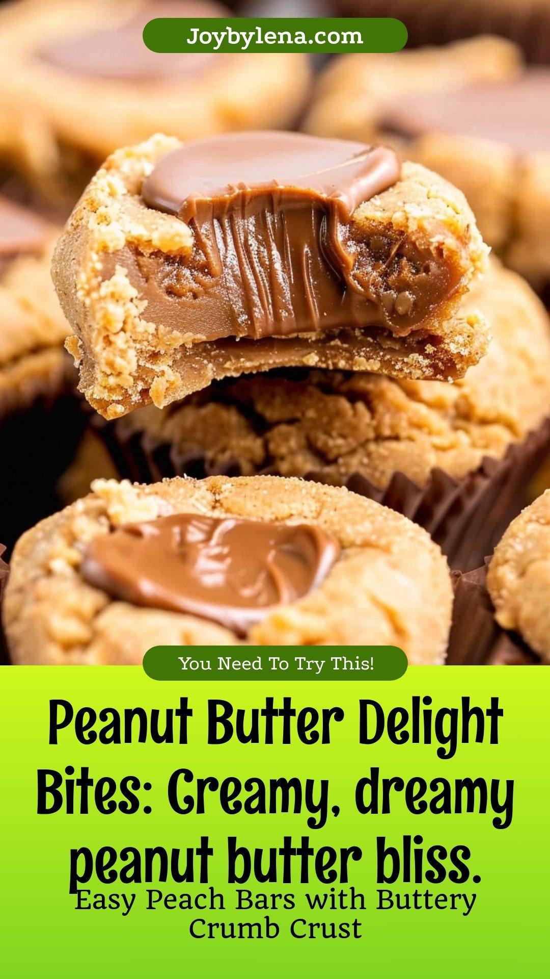 Peanut Butter Delight Bites: Creamy, dreamy peanut butter bliss.