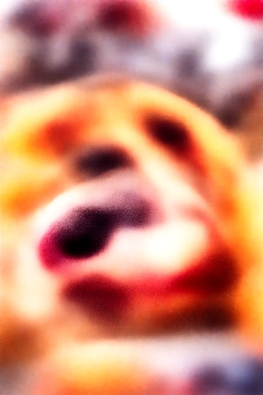 Portable Berry Pastries: Berry-filled flaky pockets.