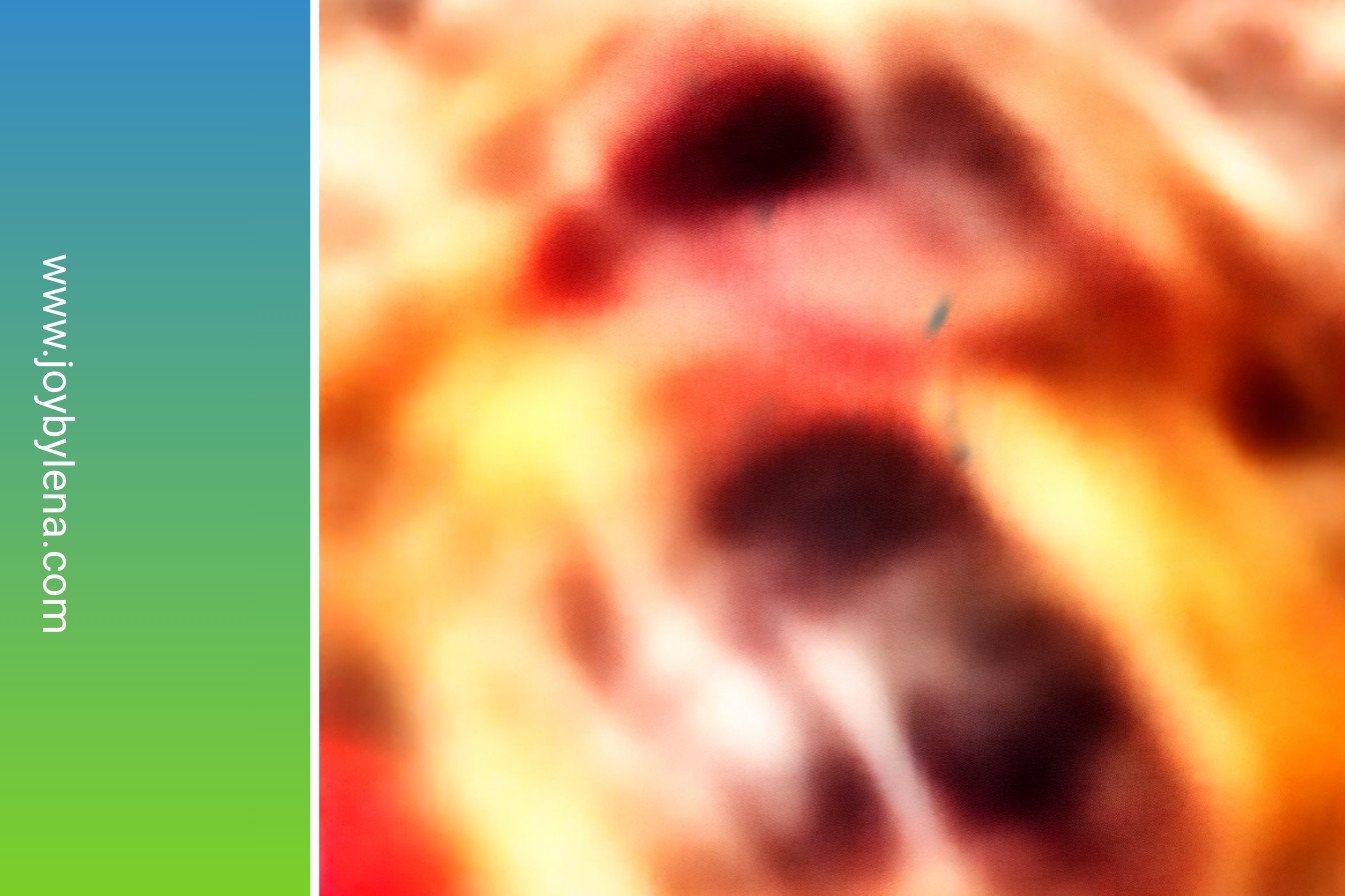 Portable Berry Pastries: Berry-filled flaky pockets.: