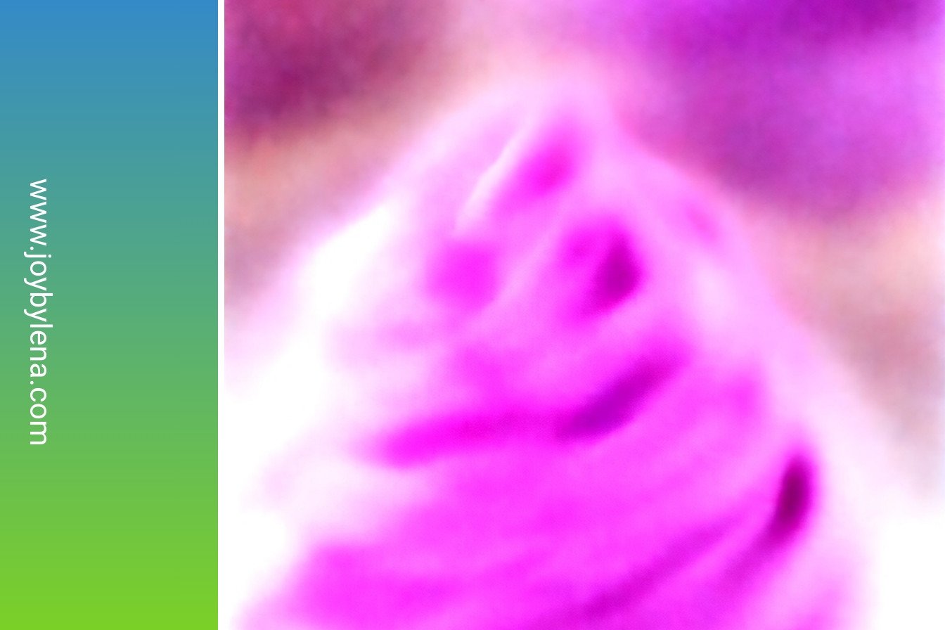 Purple Velvet Frosting: Velvety purple dream swirls: