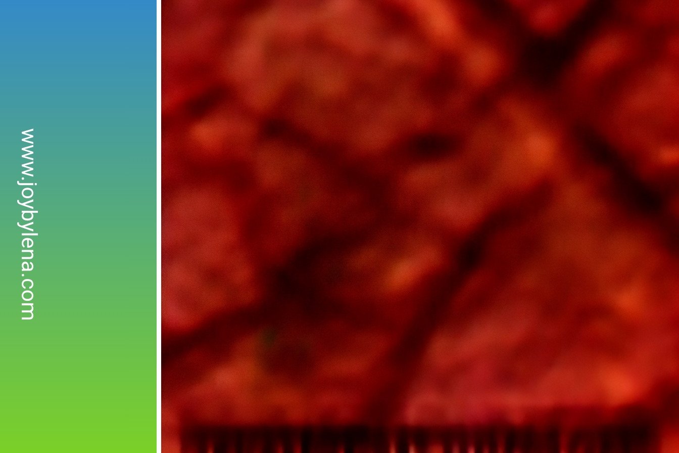 Salty Sweet Chocolate Slab: A sublime savory crunch.: