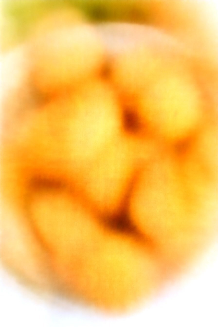 Savory Herb Scones: Flaky, fragrant, herby perfection.