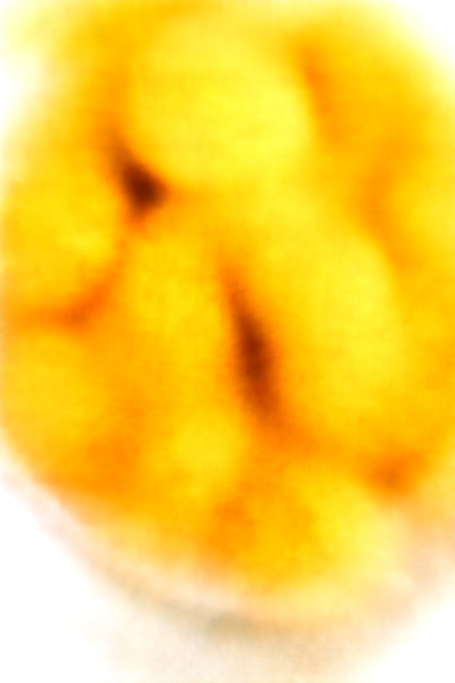 Savory Herb Scones: Flaky, fragrant, herby perfection.