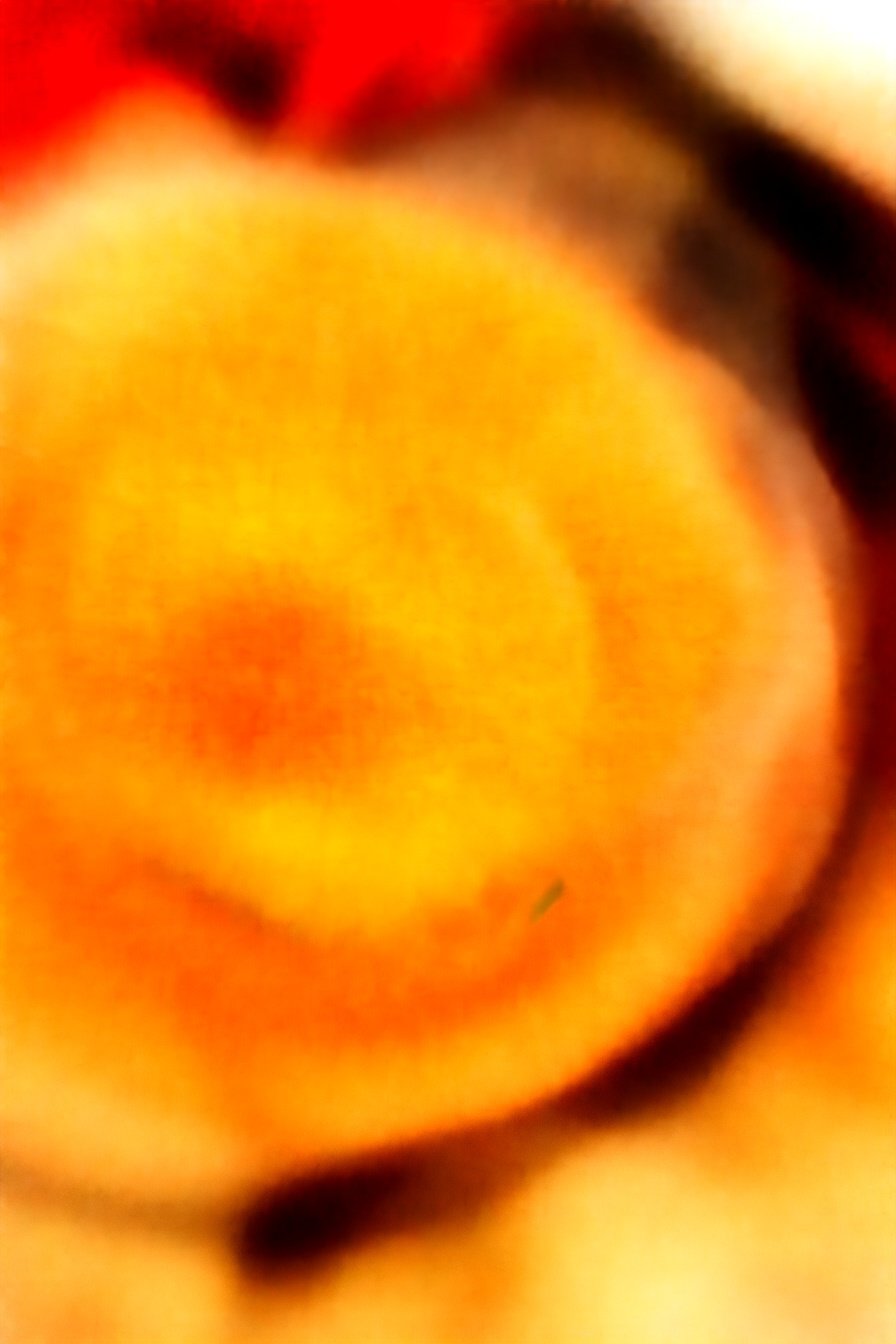 Slow Cooker Game Day Dip: Irresistibly cheesy, savory goodness.