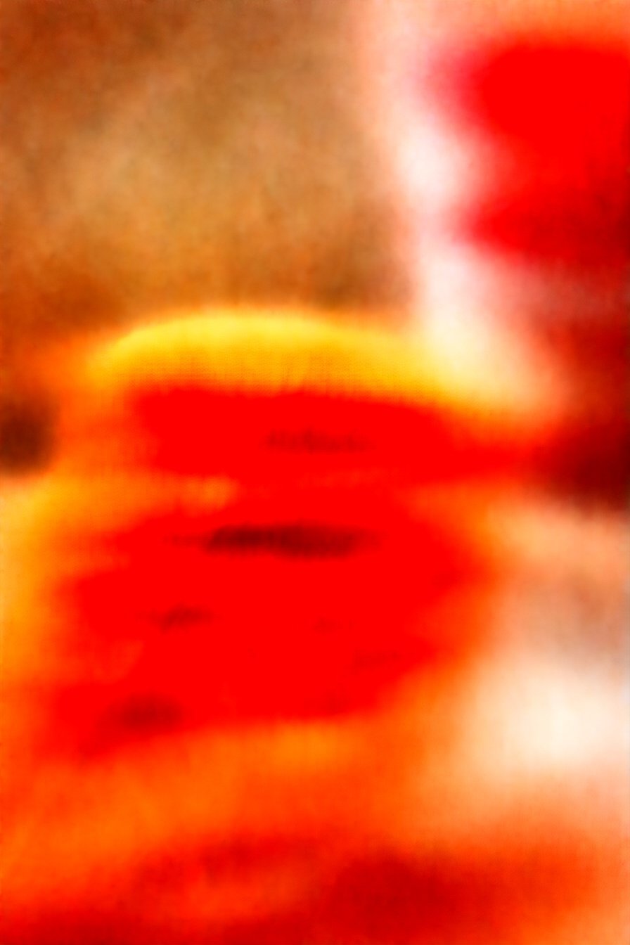 Southern Fried Tomato Platter: Golden, crispy perfection.