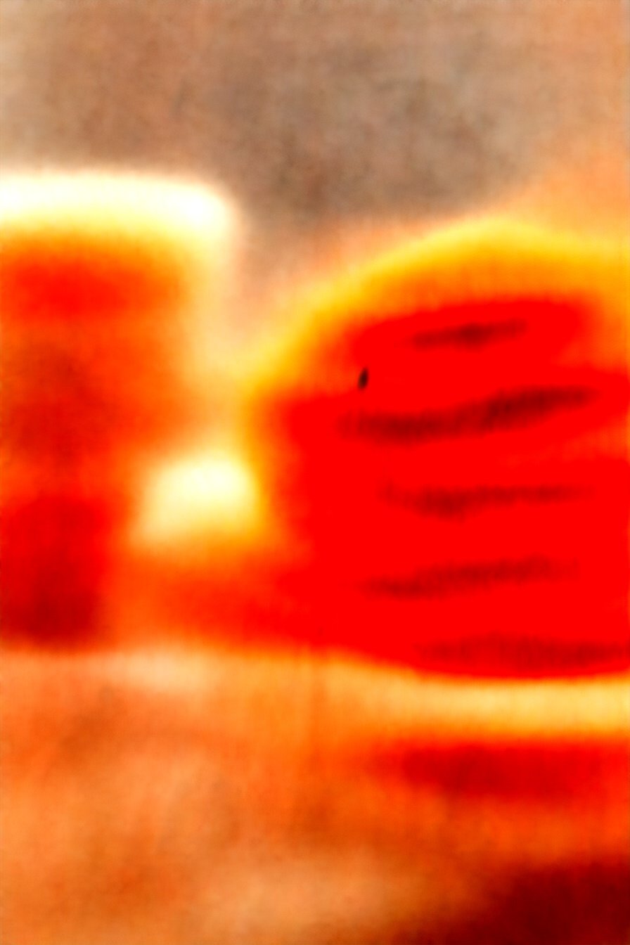 Southern Fried Tomato Platter: Golden, crispy perfection.