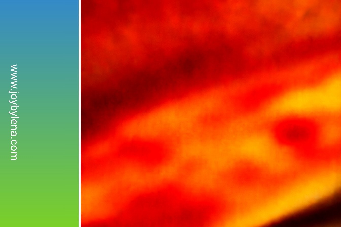 Southern Stacked Delight: Layers of pure bliss.: