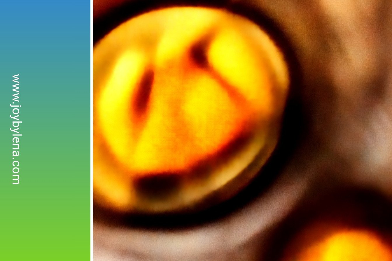 Southern Style Cornbread Recipe: Golden Crust, Tender Crumbs: