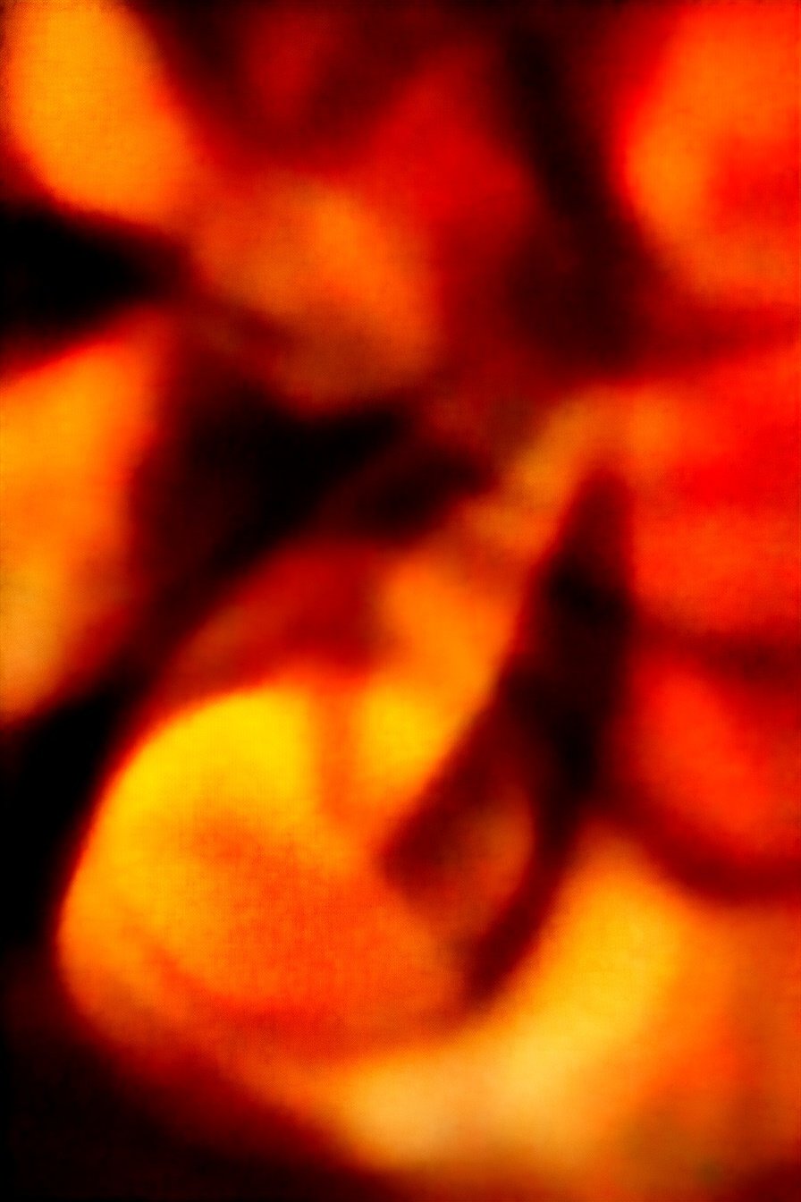 Southern Style Cornbread Recipe: Golden Crust, Tender Crumbs