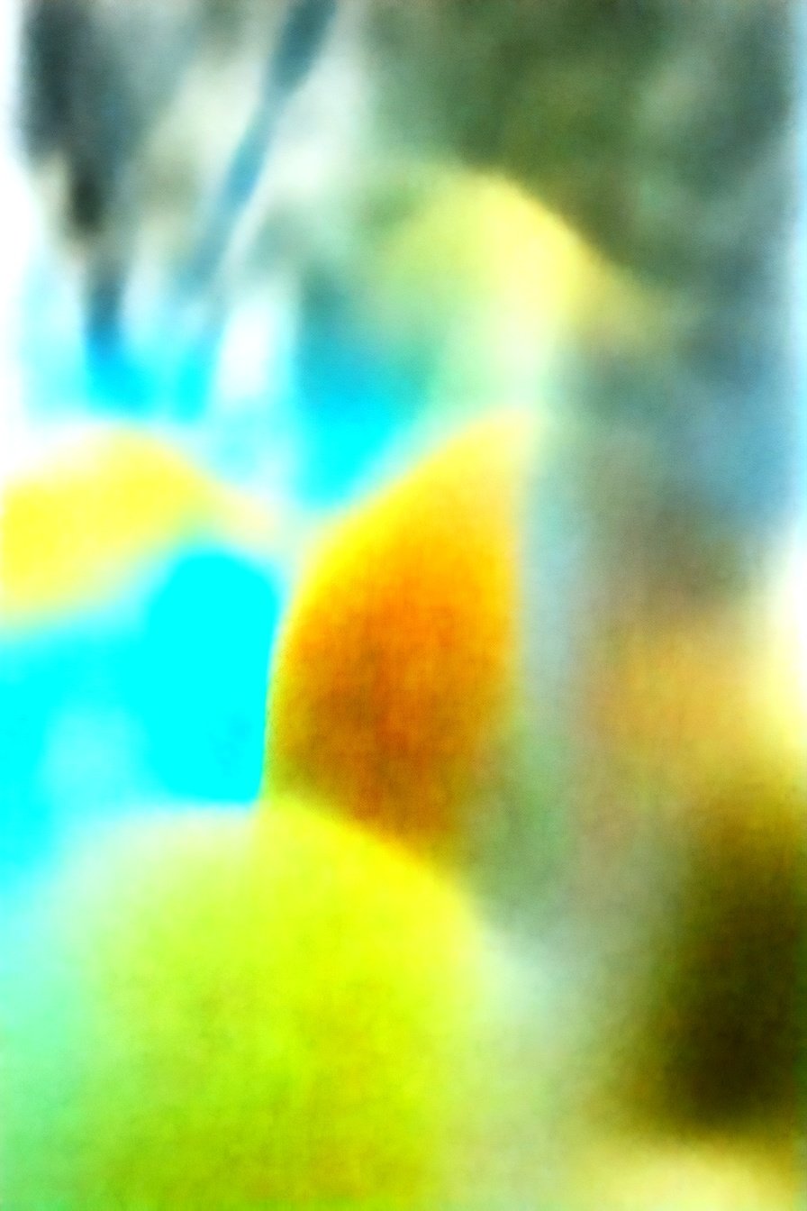 Sparkling Citrus Zest: A vibrant, tangy burst.