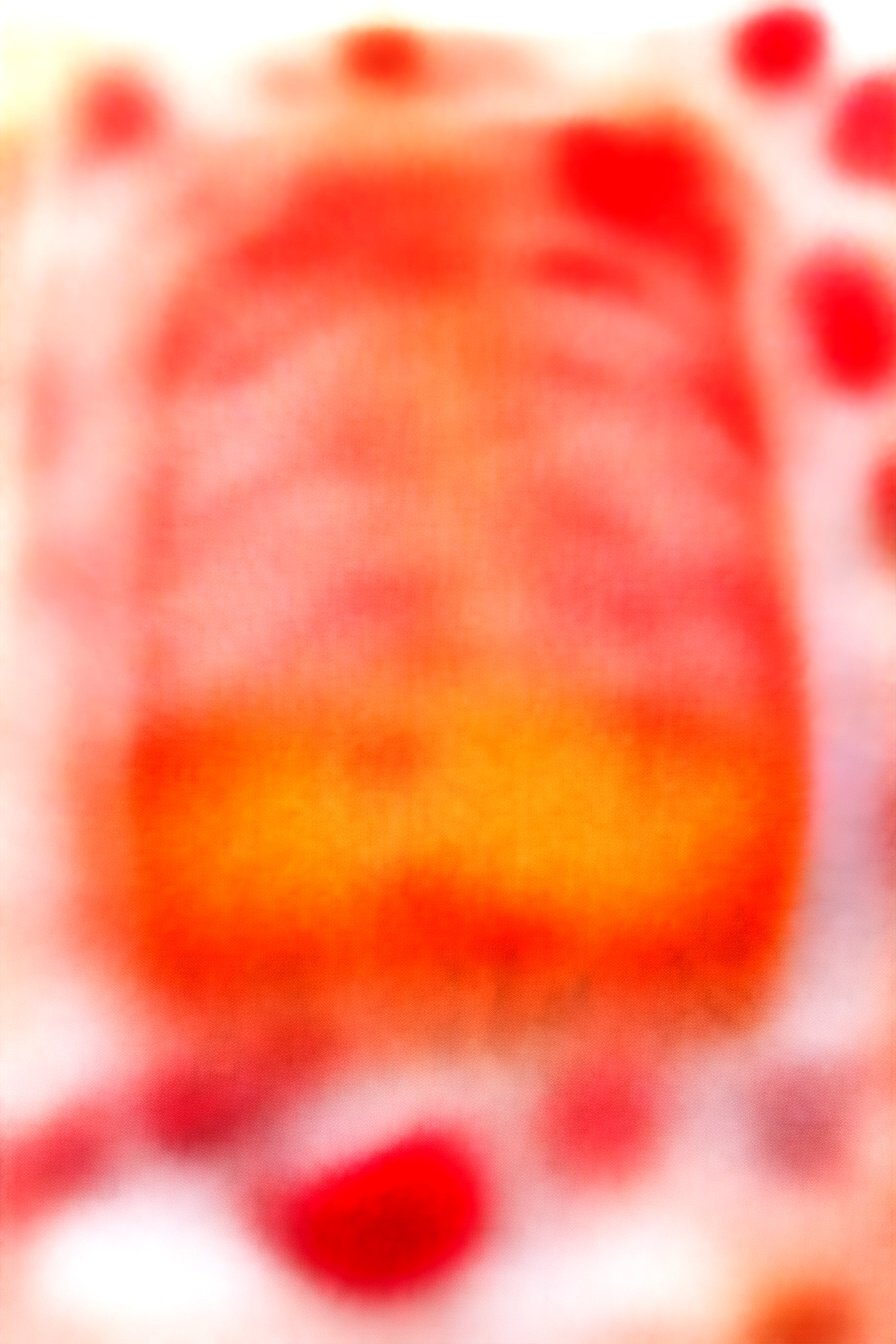 Spring Fruit Loaf: Moist, fruity slice.