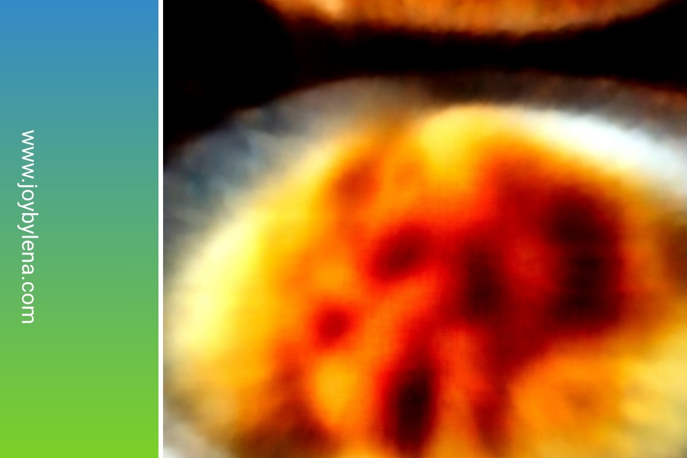 Tender Simmered Pork: Fall-apart savory perfection.: