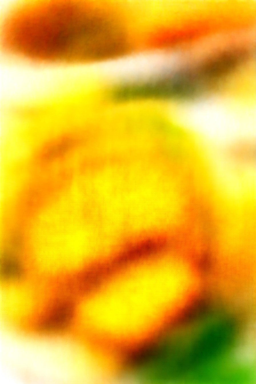 Toasted Herb Delights: Savory, aromatic crisp perfection.