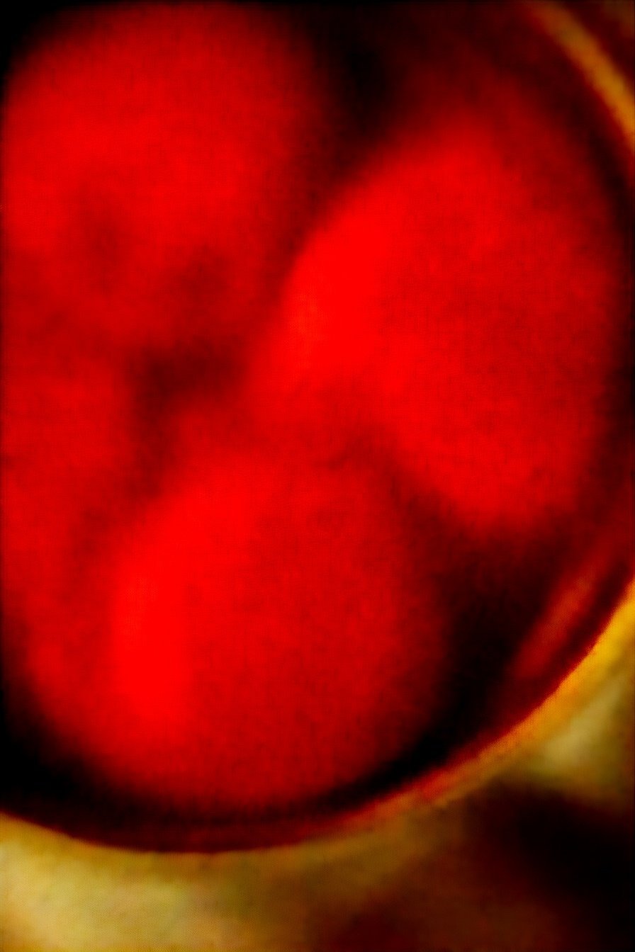 Ultimate Comfort Food Classic: Warm. Cheesy. Soul-satisfying.