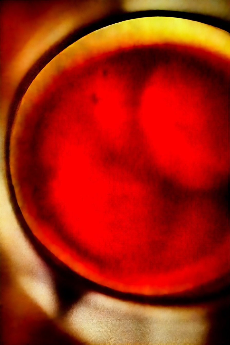 Ultimate Comfort Food Classic: Warm. Cheesy. Soul-satisfying.