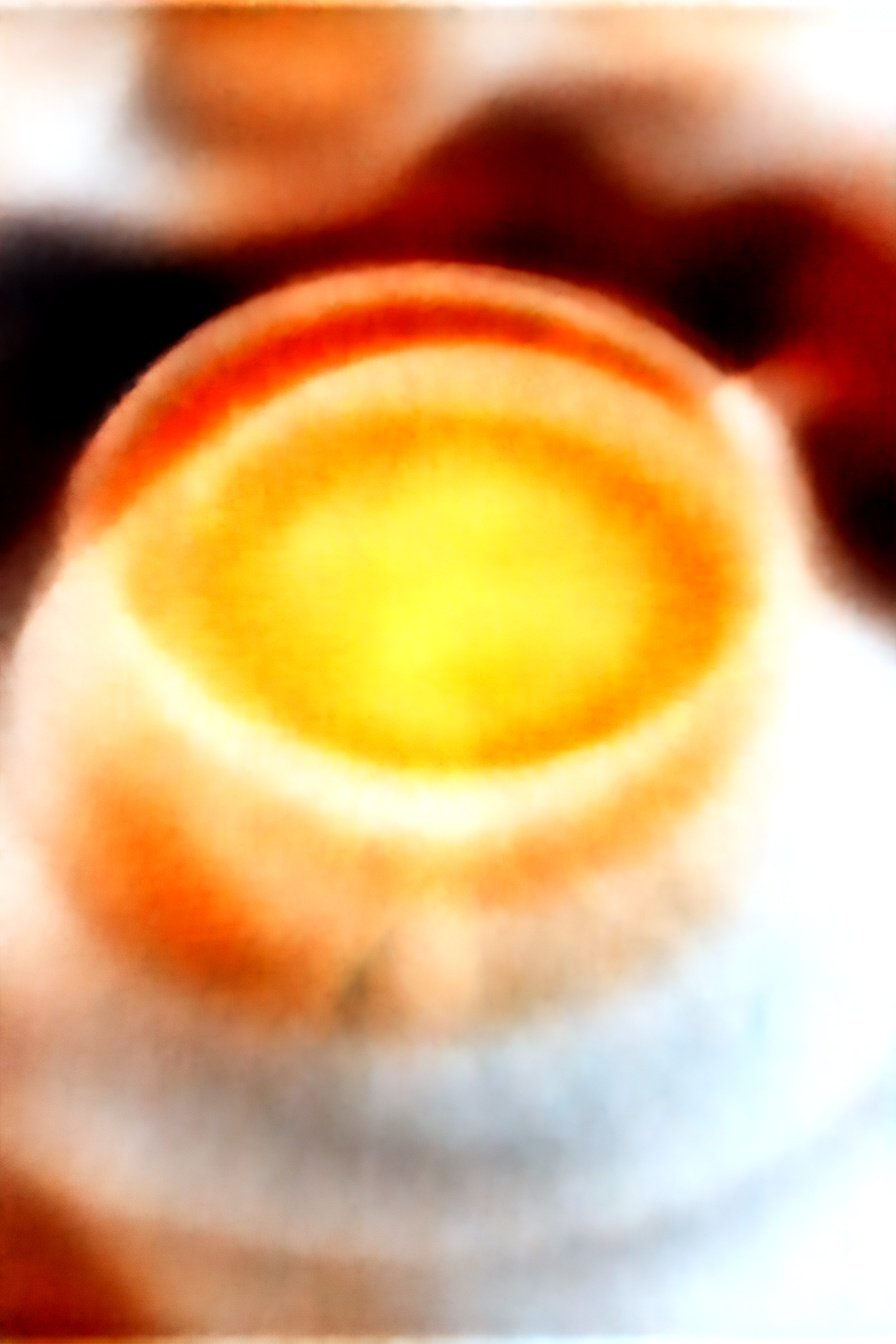 Velvet Autumn Harvest: Spiced apple cider warmth.