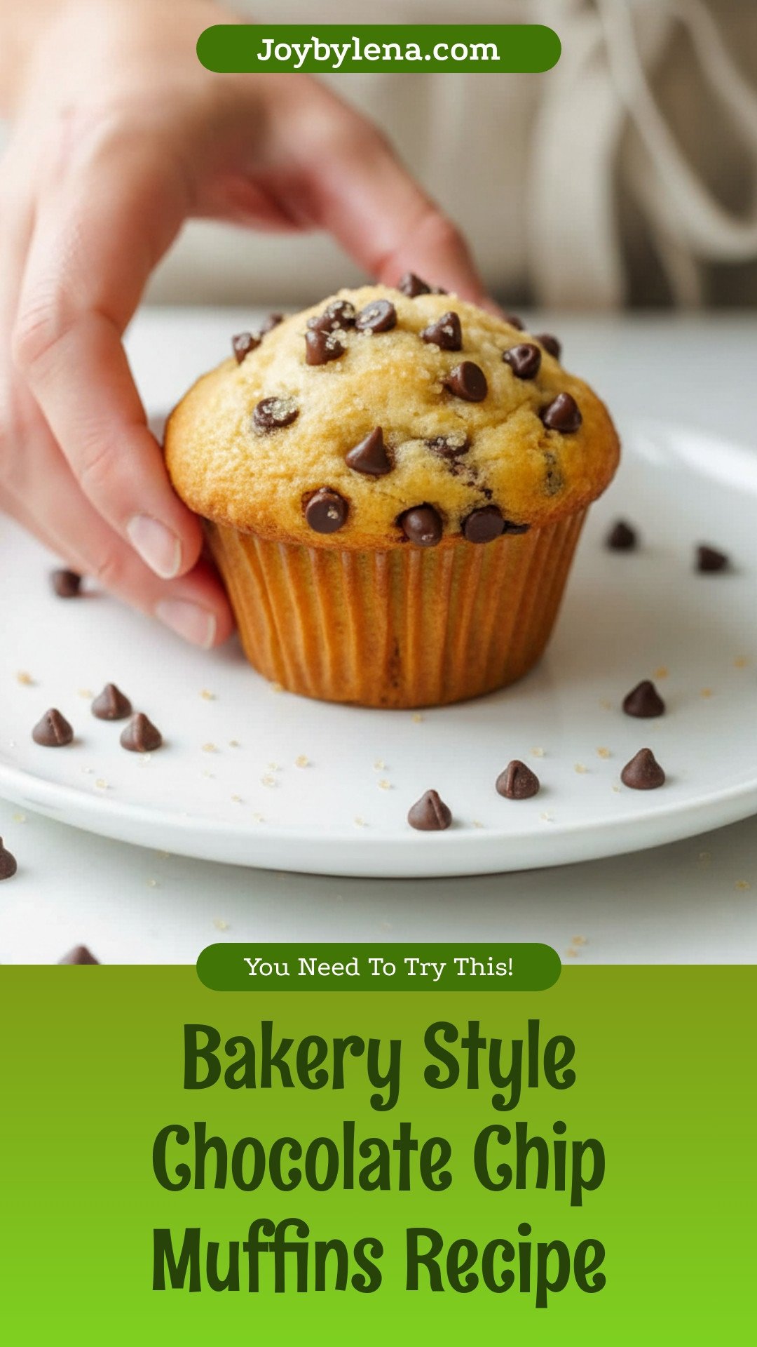 Chocolate Chip Muffins (Bakery Style)