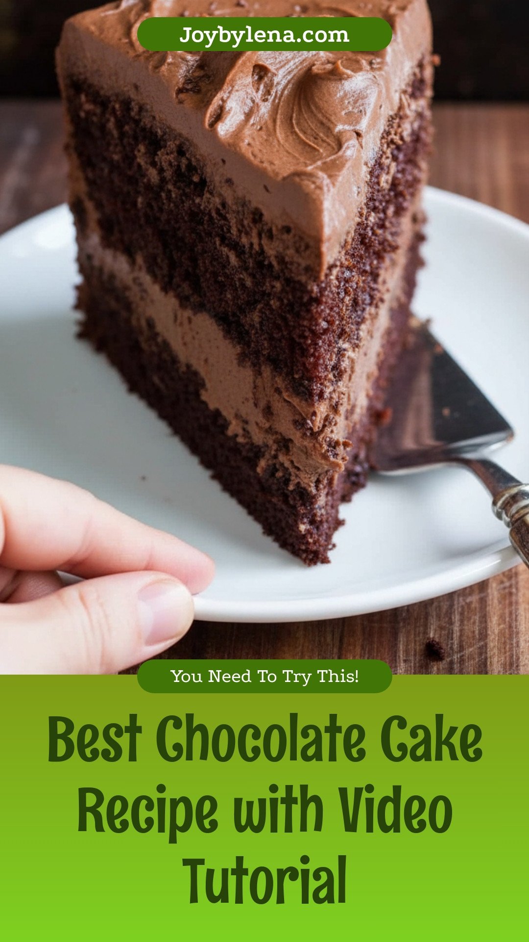 Chocolate Cake Recipe (VIDEO)