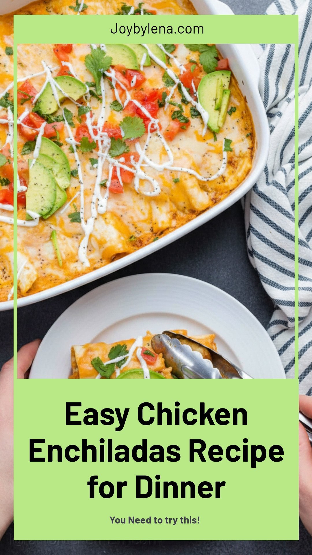 Chicken Enchiladas Recipe
