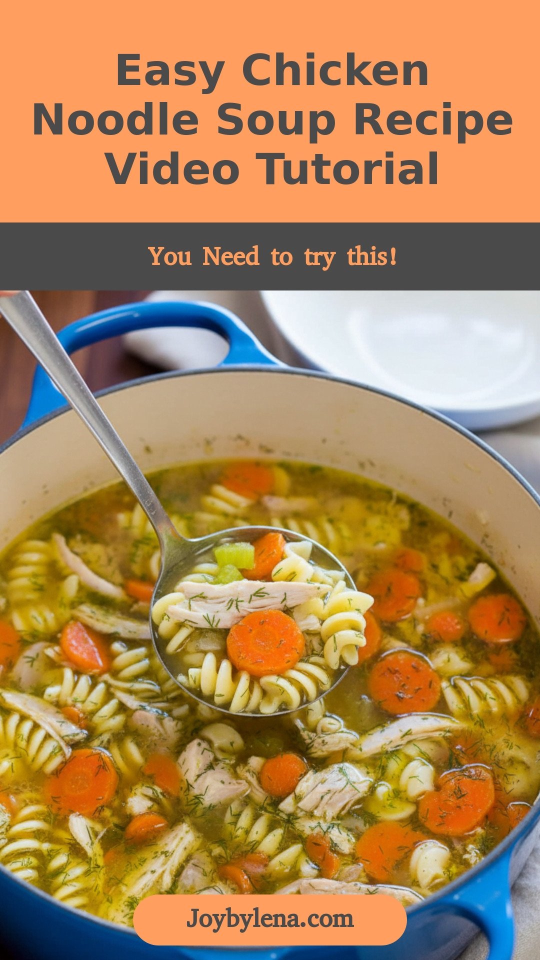 Easy Chicken Noodle Soup Recipe (VIDEO)