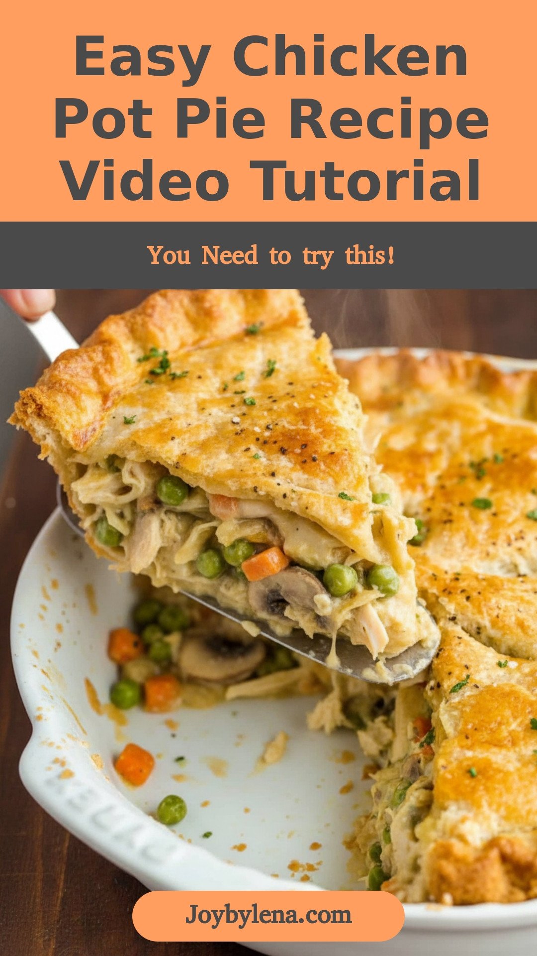 Chicken Pot Pie Recipe (VIDEO)