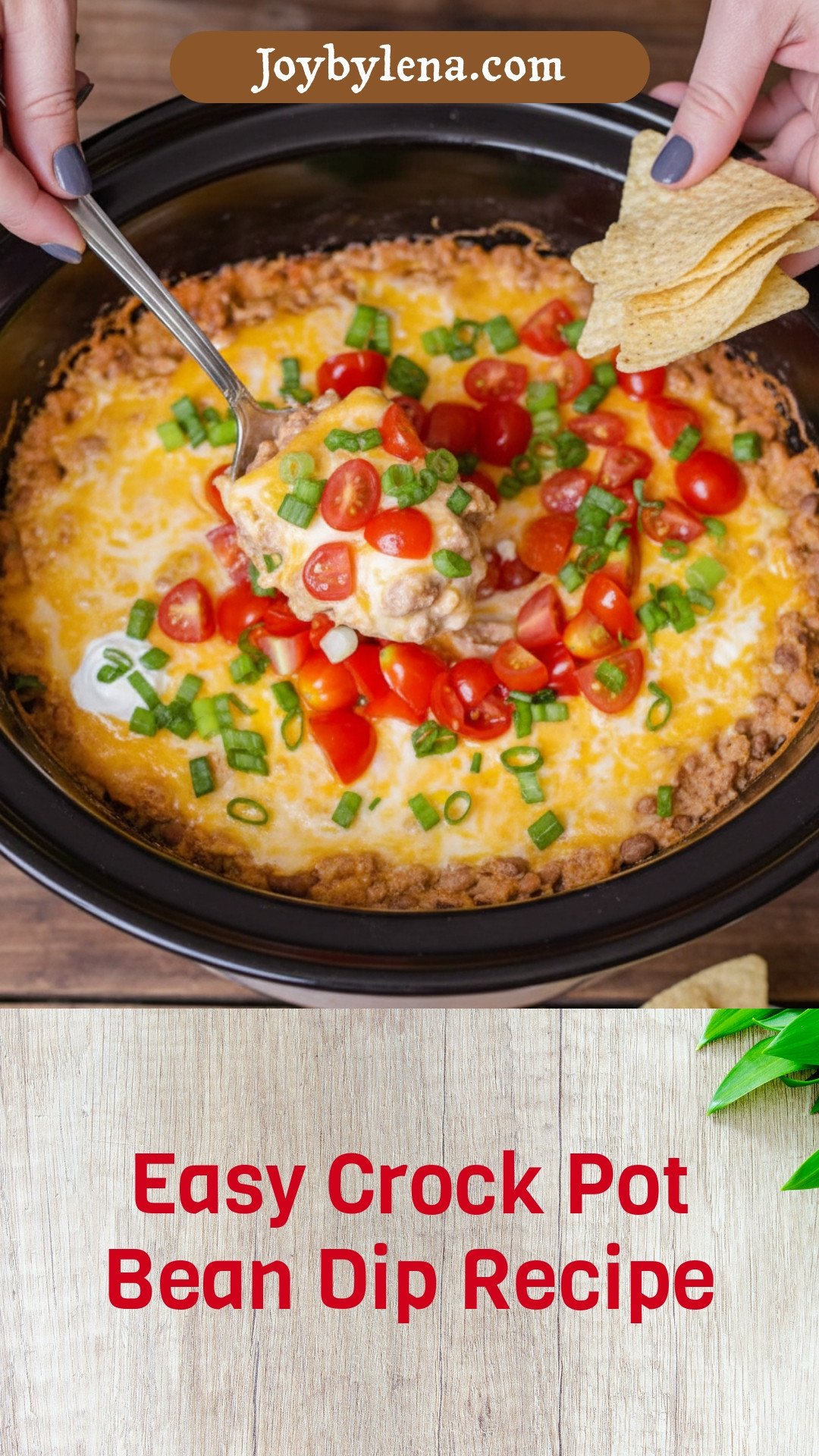 Crock Pot Bean Dip
