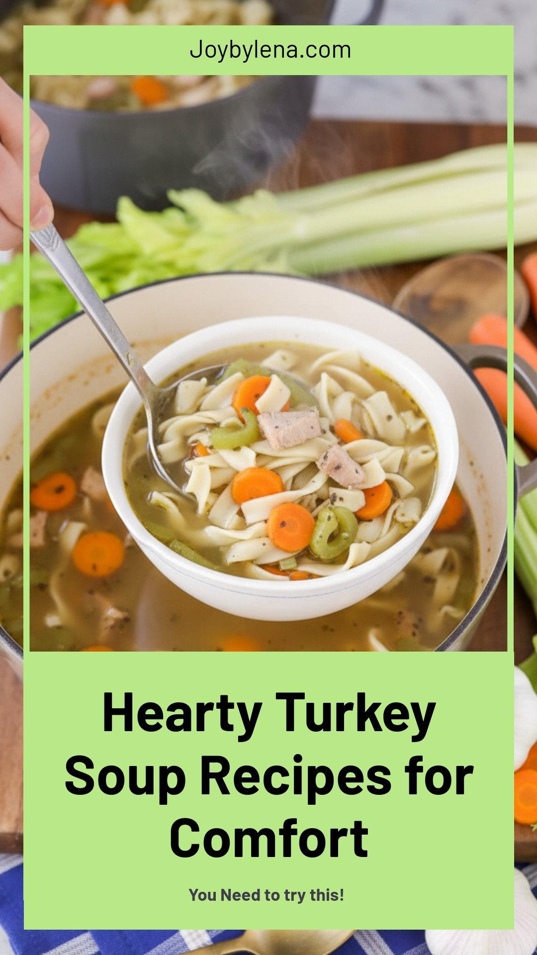 Turkey Soup