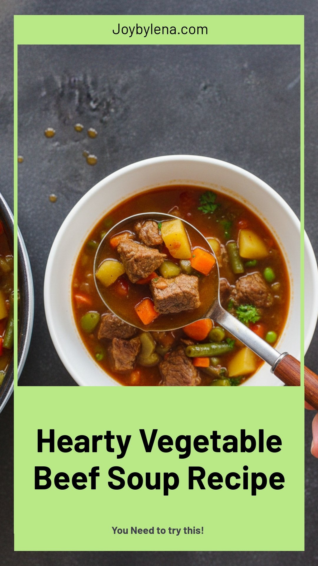 Vegetable Beef Soup Recipe