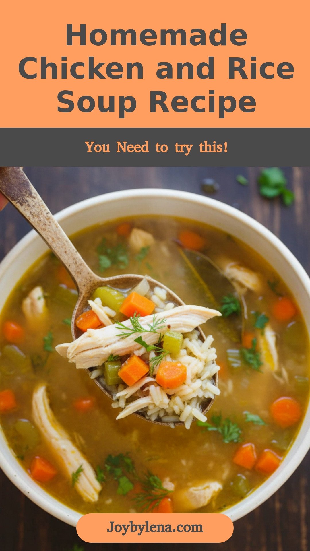 Chicken and Rice Soup Recipe