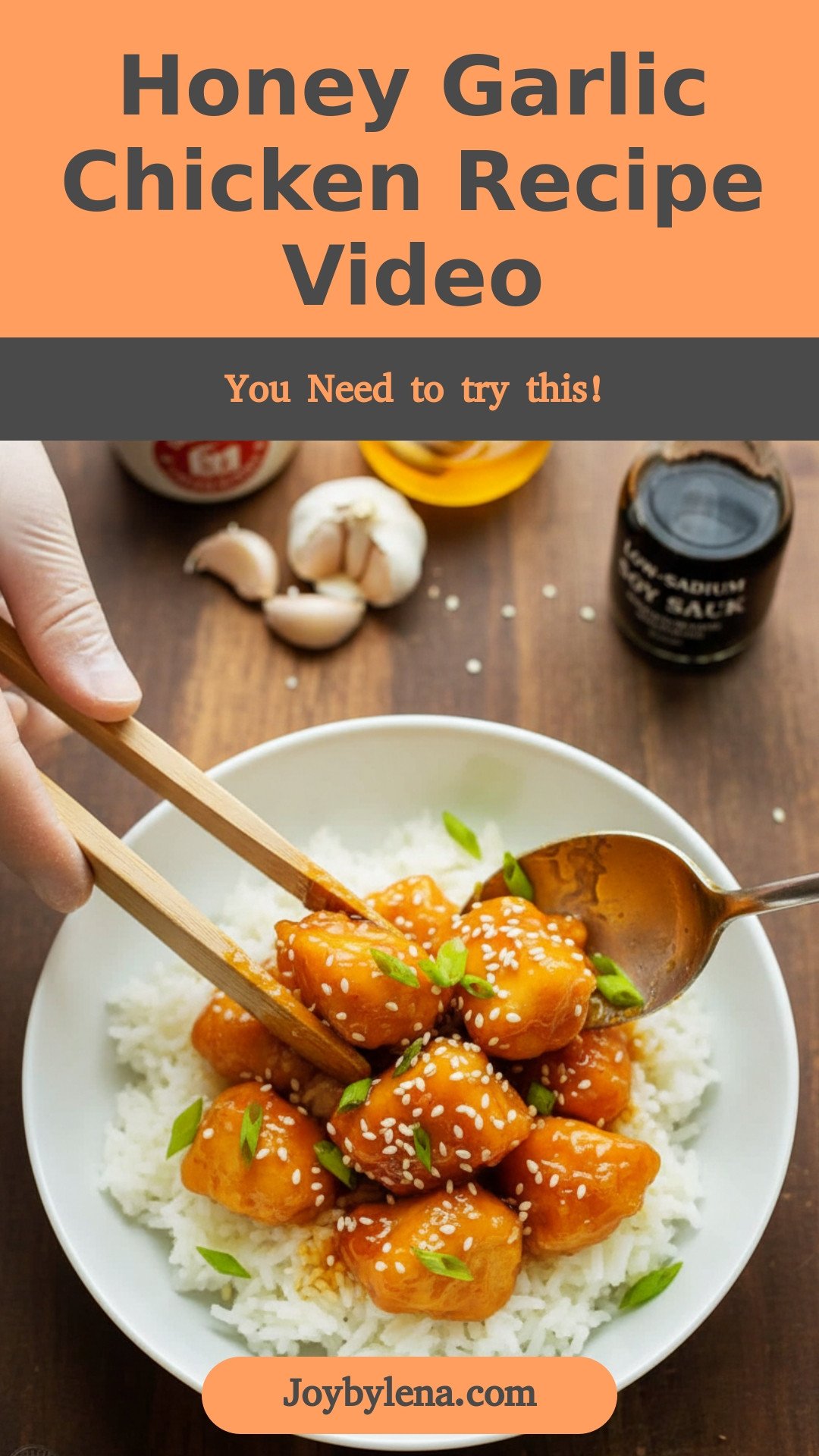 Honey Garlic Chicken Recipe (VIDEO)