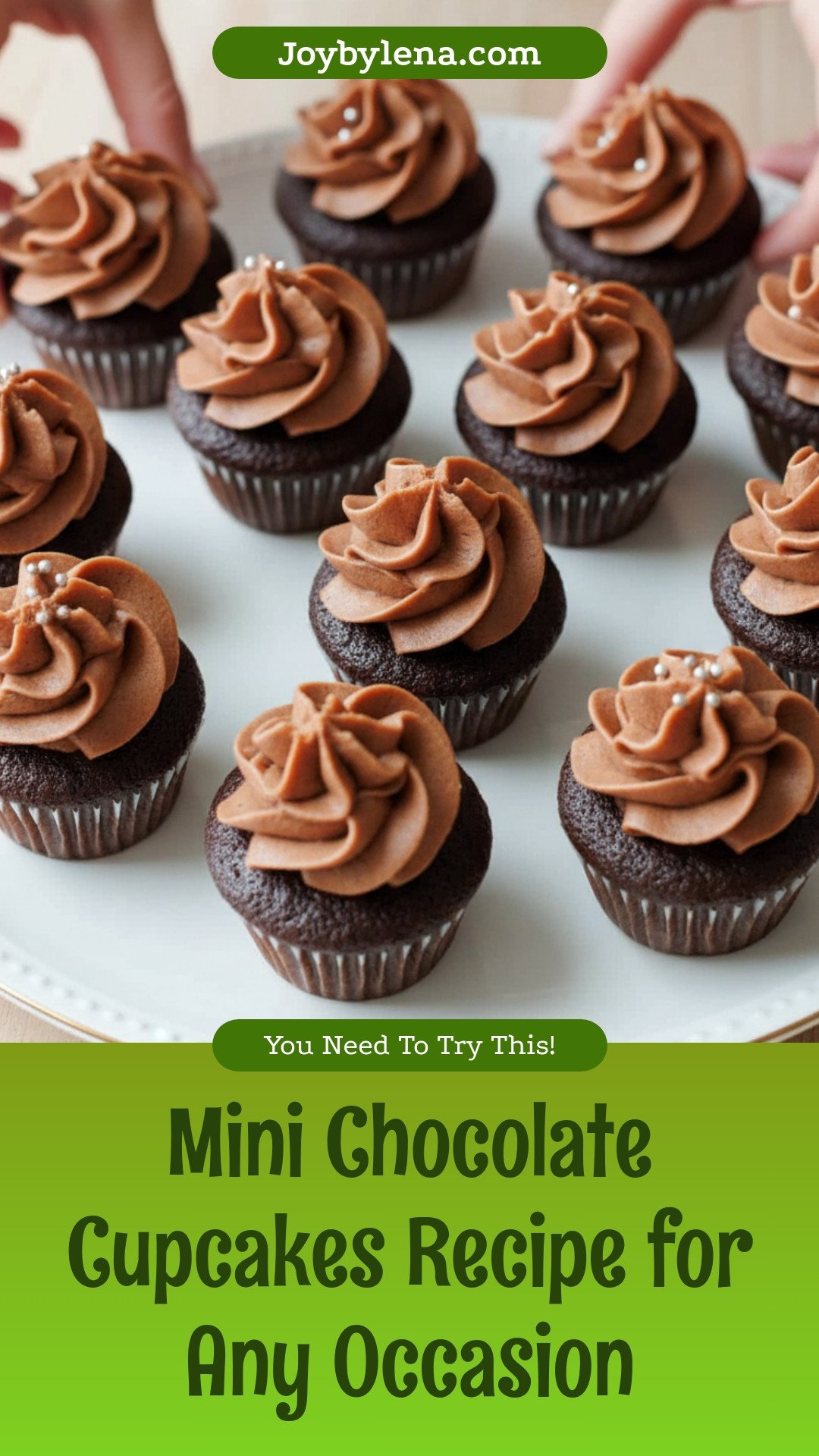 Mini Chocolate Cupcakes