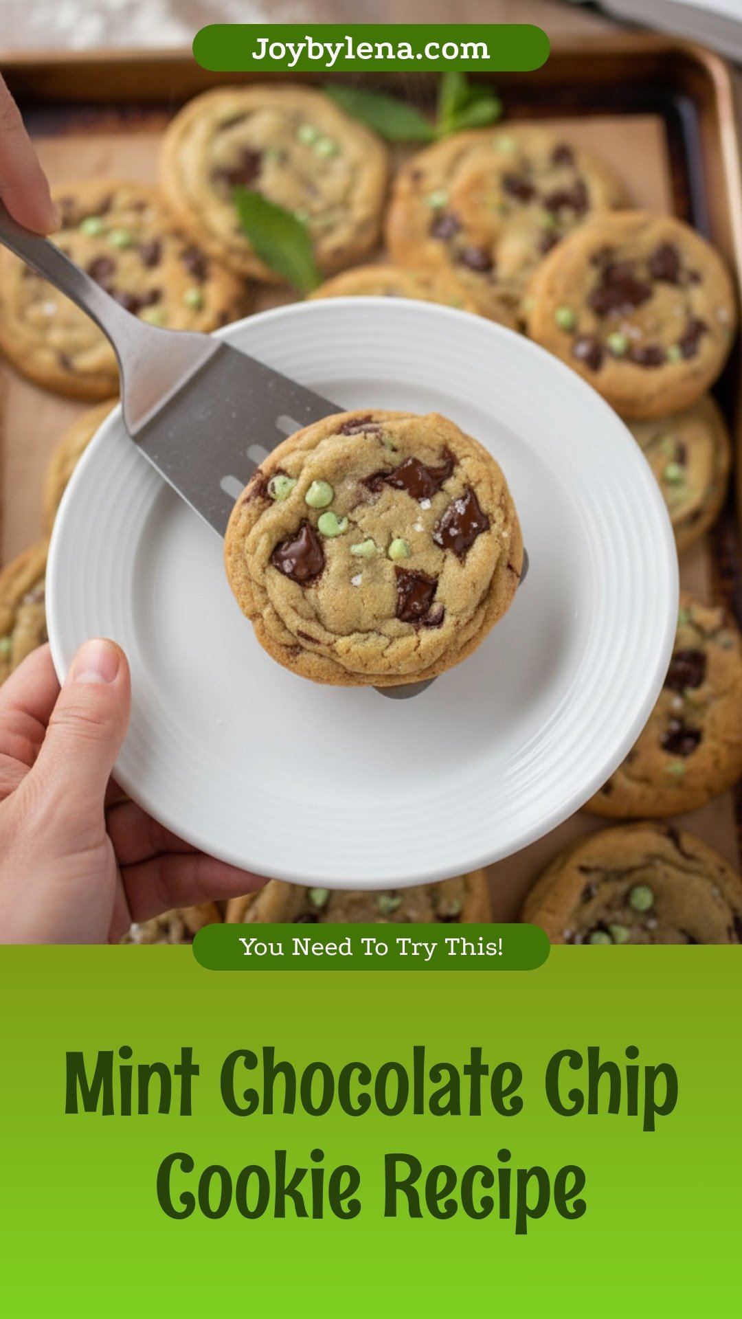 Mint Chocolate Chip Cookies