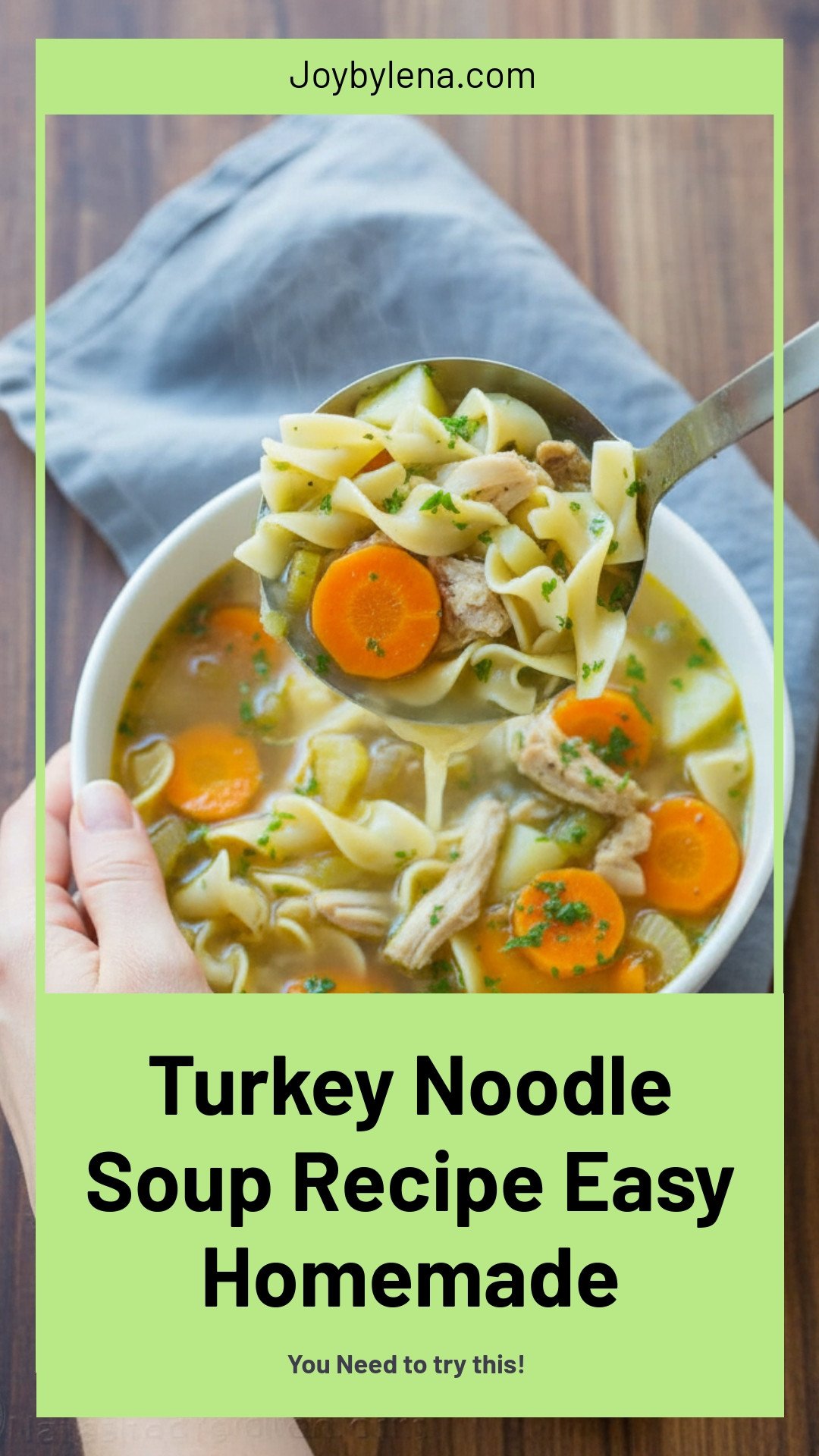 Turkey Noodle Soup Recipe