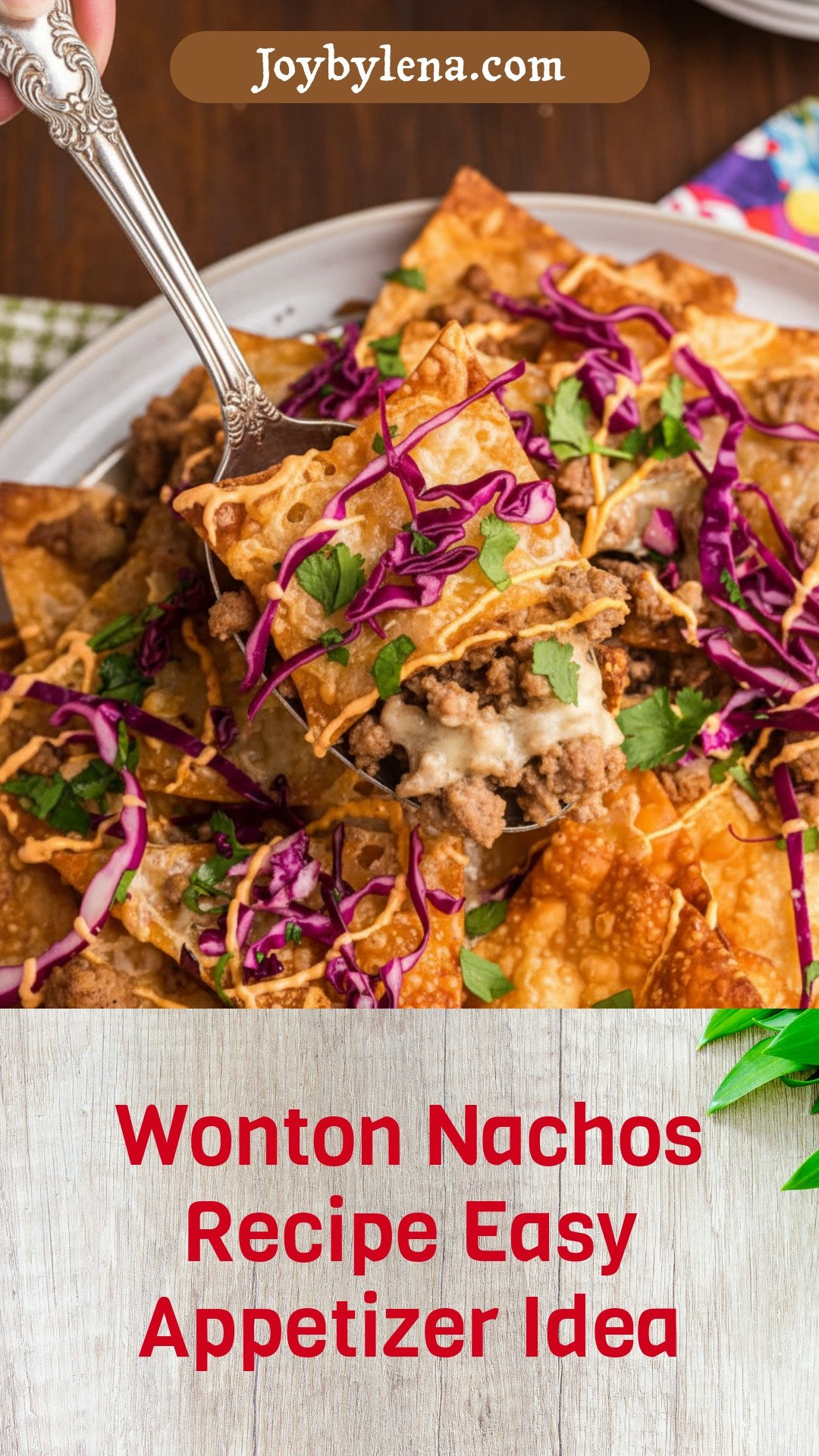 Wonton Nachos