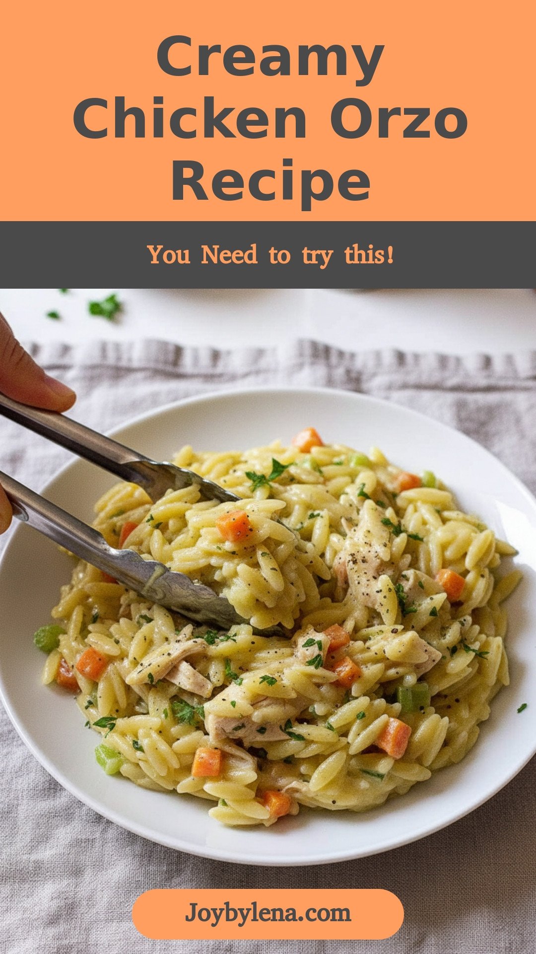 Creamy Chicken Orzo