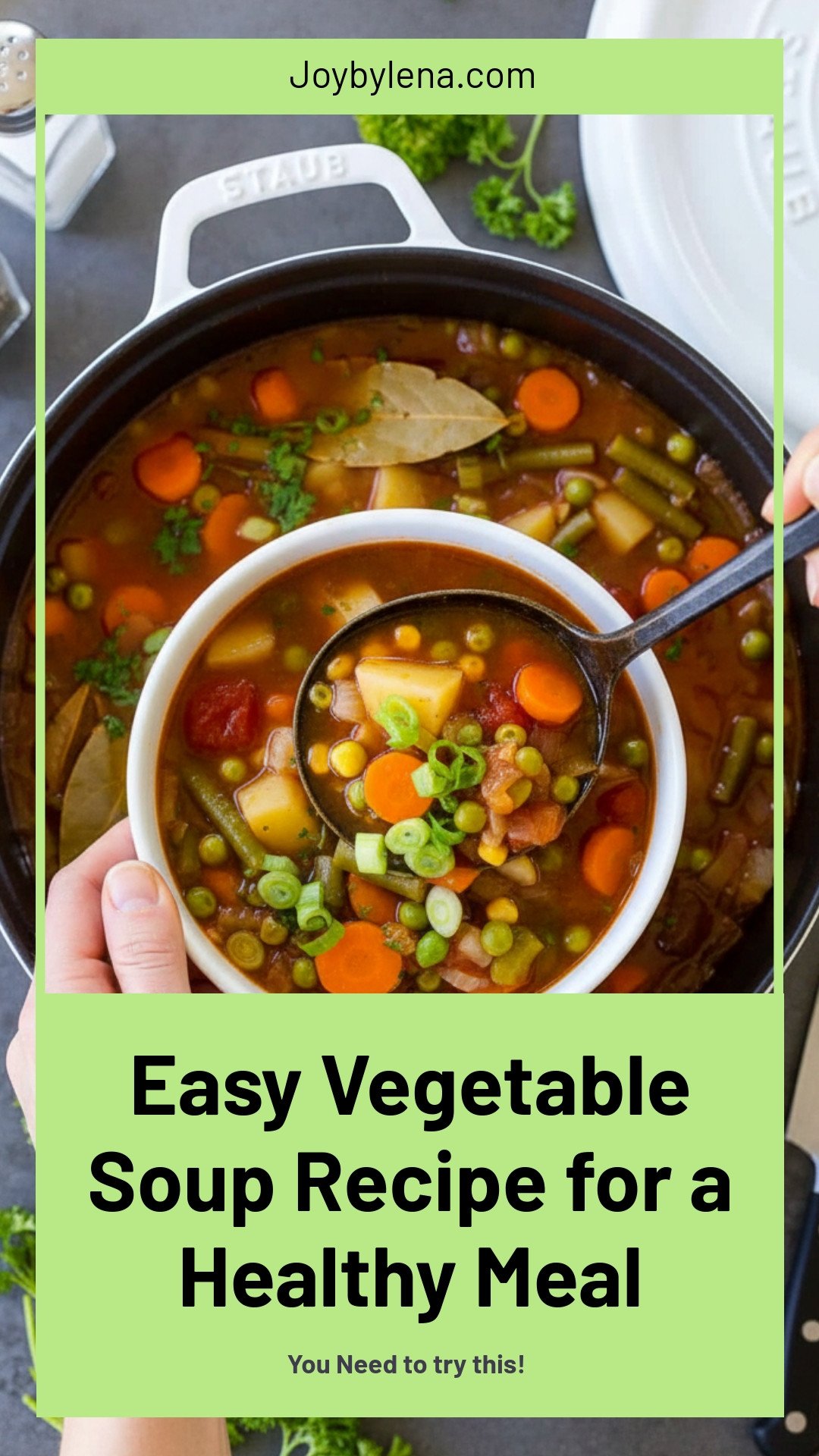 Easy Vegetable Soup Recipe